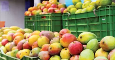 Vendedores piden comprar mangos