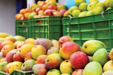 Vendedores piden comprar mangos