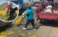 Piura: Atencin! Tiran toneladas de limn a la carretera ante bajos precios en Sullana