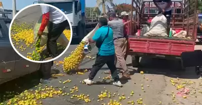 Arrojan toneladas de limones en Sullana por bajos precios.