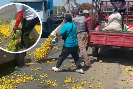 Arrojan toneladas de limones en Sullana por bajos precios.