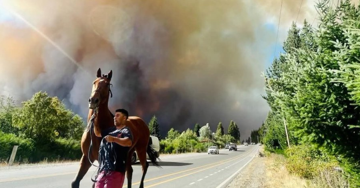 Argentina: Más de 800 evacuados y un muerto por las llamas que arrasan en incendio forestal en El Bolsón