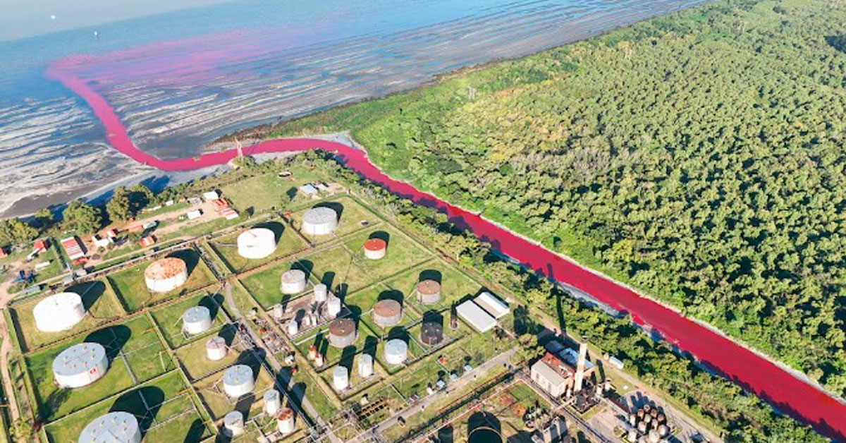 Arroyo se tiñó de "rojo sangre" en Argentina: Pobladores expresan su preocupación