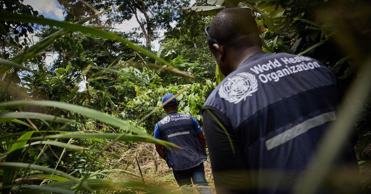 OMS alerta por extraña enfermedad aparecida en el Congo: más de 50 muertos y 431 casos registrados