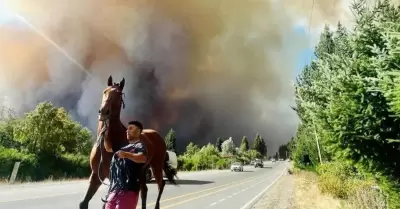 Incendio forestal en argentina