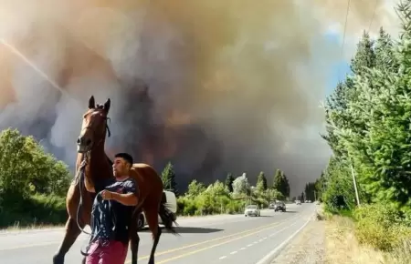 Incendio forestal en argentina