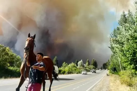 Incendio forestal en argentina