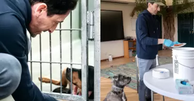 Adrien Brody comparti con animales rescatados del incendio de Los Angeles.