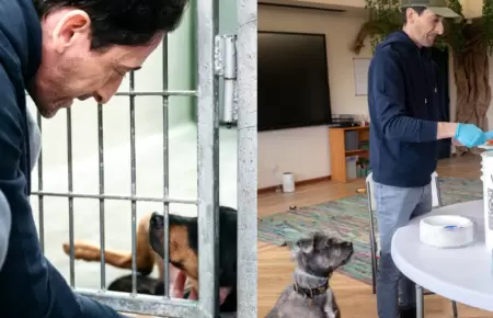 Adrien Brody comparti con animales rescatados del incendio de Los Angeles.