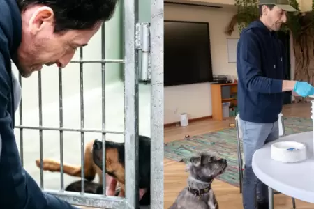 Adrien Brody comparti con animales rescatados del incendio de Los Angeles.