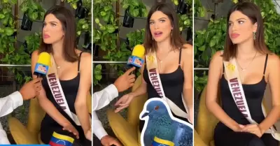 Miss venezolana afirma que en Per comen palomas.