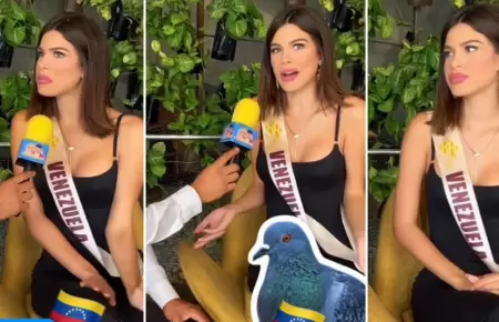 Miss venezolana afirma que en Per comen palomas.