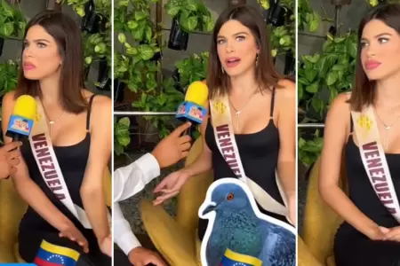 Miss venezolana afirma que en Per comen palomas.