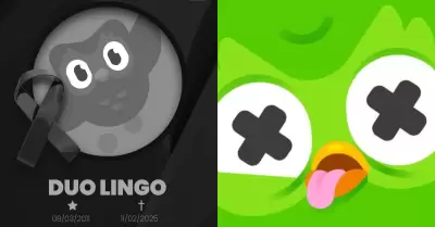 Duolingo lleg a su fin?