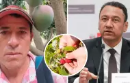 Productor de Lambayeque critica a Manero por pedir cultivar frambuesa: "No conoce nuestros campos"