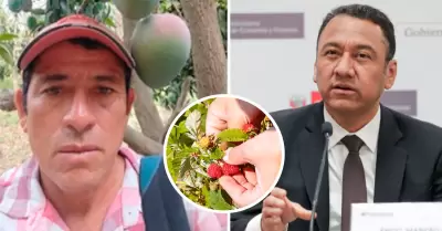 Cuestionan a ministro Manero por pedir cultivar frambuesa en vez de mango.