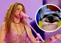 Shakira en Lima: Entrada GRATIS para su concierto como recompensa por encontrar mascota desaparecida