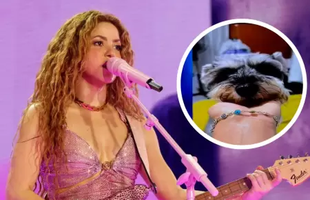 Entrada gratis para concierto de Shakira por encontrar a 'Nala'.