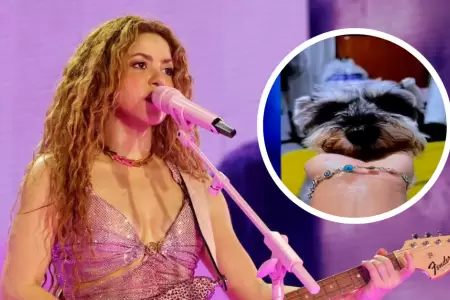 Entrada gratis para concierto de Shakira por encontrar a 'Nala'.