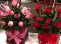 Vas a regalar rosas por San Valentn?: Conoce AQU todo lo que debes saber antes de comprar estas flores