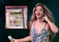 Shakira enferm por comer comida peruana