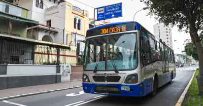 Corredor Azul podra movilizarse solo por la avenida Arequipa.