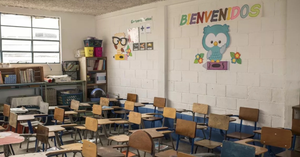 Plaga de roedores en colegio: Autoridades suspenden el inicio del año escolar hasta nuevo aviso