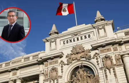 Congreso y Gobierno "jugaron en pared" para derogar detencin preliminar, segn