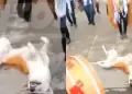 "Nadie lo mueve": Perrito se qued DORMIDO en plena celebracin del carnaval de Ayacucho (VIDEO)