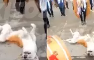 "Nadie lo mueve": Perrito se qued DORMIDO en plena celebracin del carnaval de Ayacucho (VIDEO)