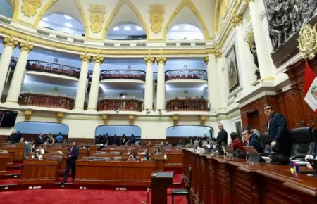 Congreso aprob dictamen que fiscaliza el financiamiento de las ONG.