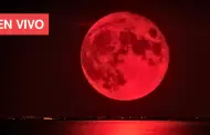 Eclipse lunar total en Per: Mira EN VIVO la impresionante 'Luna de sangre'