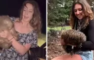 Tsunami de crticas: Influencer se va de Australia tras grabar un video cargando a un animal silvestre