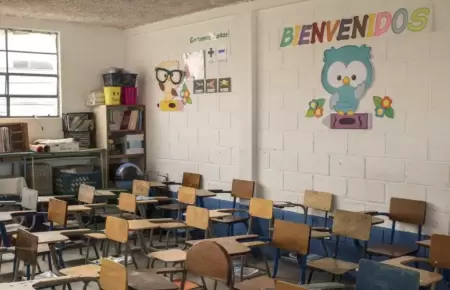 Plaga de roedores frustra el inicio del ao escolar en colegio