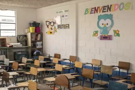 Plaga de roedores frustra el inicio del ao escolar en colegio