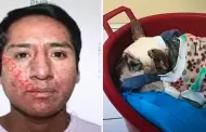 Maltrato animal en Arequipa: Condenan a sujeto que agredi con una vara metlica a la perrita 'Laika'