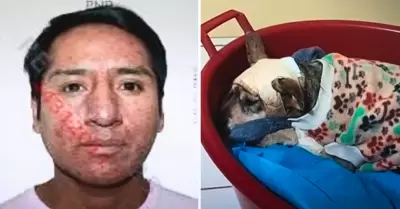 Sujeto agredi a perrita 'Laika'.