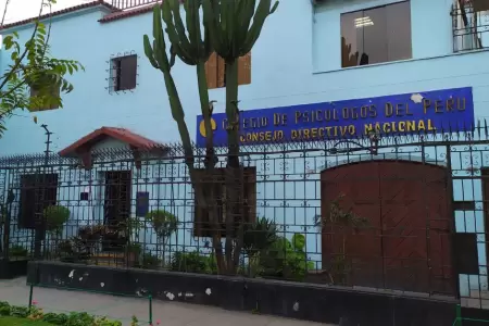 Colegio de psiclogos del Per pide mayor atencin a salud mental