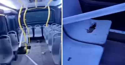 Delincuentes dejan explosivo en bus de Nueva Alternativa.