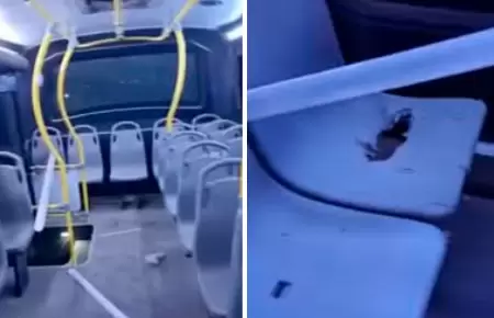 Delincuentes dejan explosivo en bus de Nueva Alternativa.