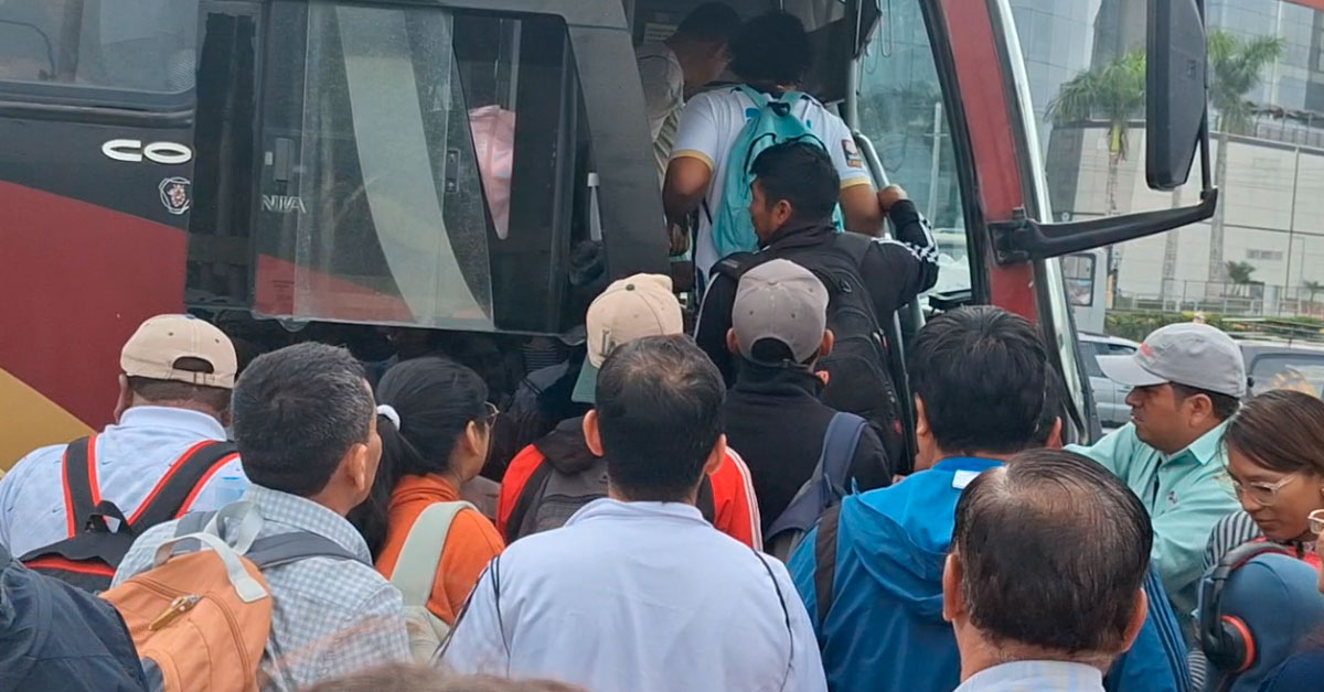 Caos en la Panamericana Sur: Pasajeros hacen largas colas para abordar buses por Semana Santa