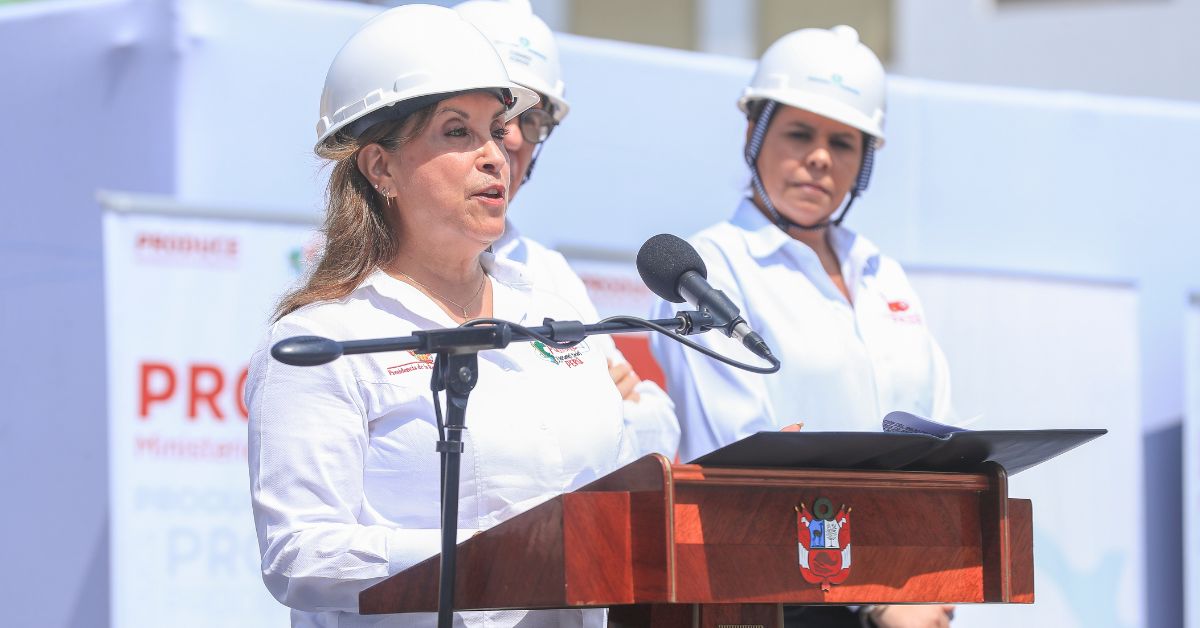 Dina Boluarte promulga ley que autoriza a serenazgo usar pistolas eléctricas: "Nunca más serenos desprotegidos"