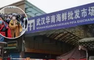 China concluye investigacin sobre origen de la COVID-19 y seala a EE.UU. como uno de los responsables