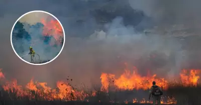 Incendios forestales arrasan con zonas aledaas a Jerusaln.