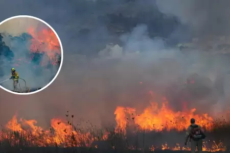 Incendios forestales arrasan con zonas aledaas a Jerusaln.