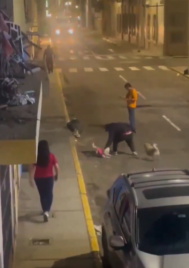 Sujeto agarr a perrita de su ropa y concret su crimen.