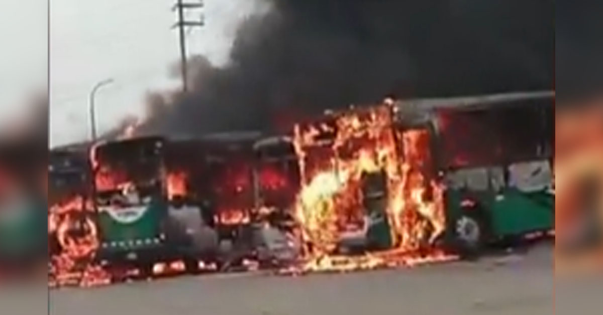 Cuatro buses de la empresa Salamanca se incendiaron en Carabayllo.