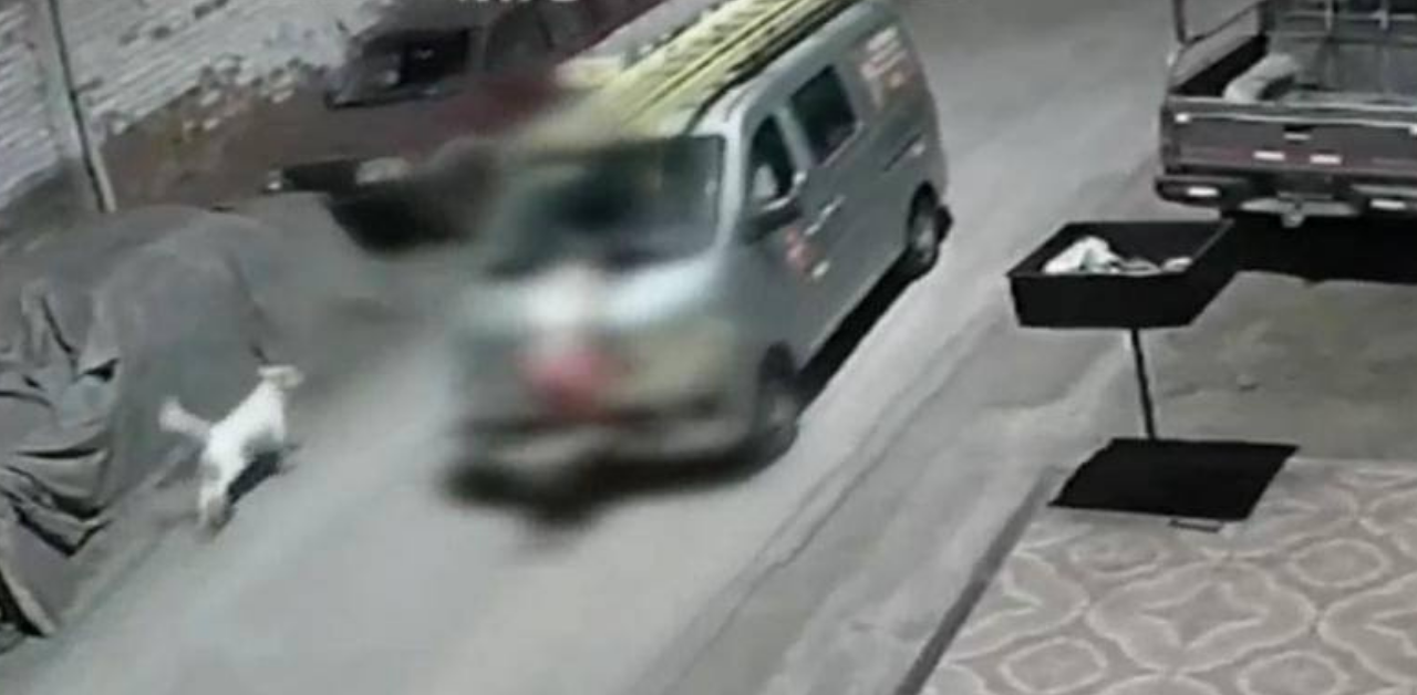 Fiscala investiga extraa muerte de mujer venezolana en San Bartolo.