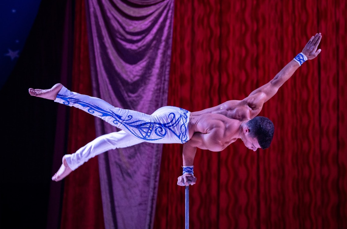 Dioses del circo