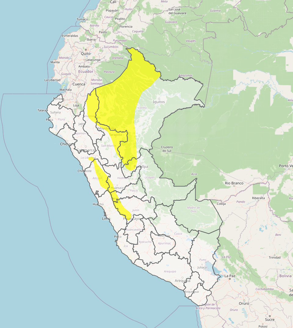 Lluvias intensas en Per.